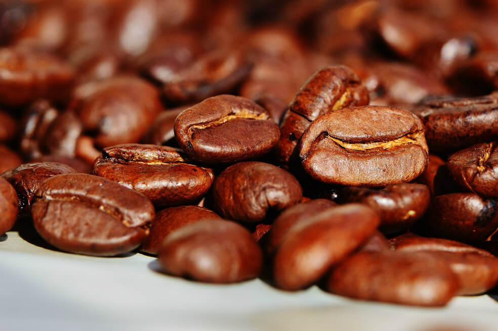 Café por coca, la esperanza de un grupo de campesinos en Guática, Risaralda