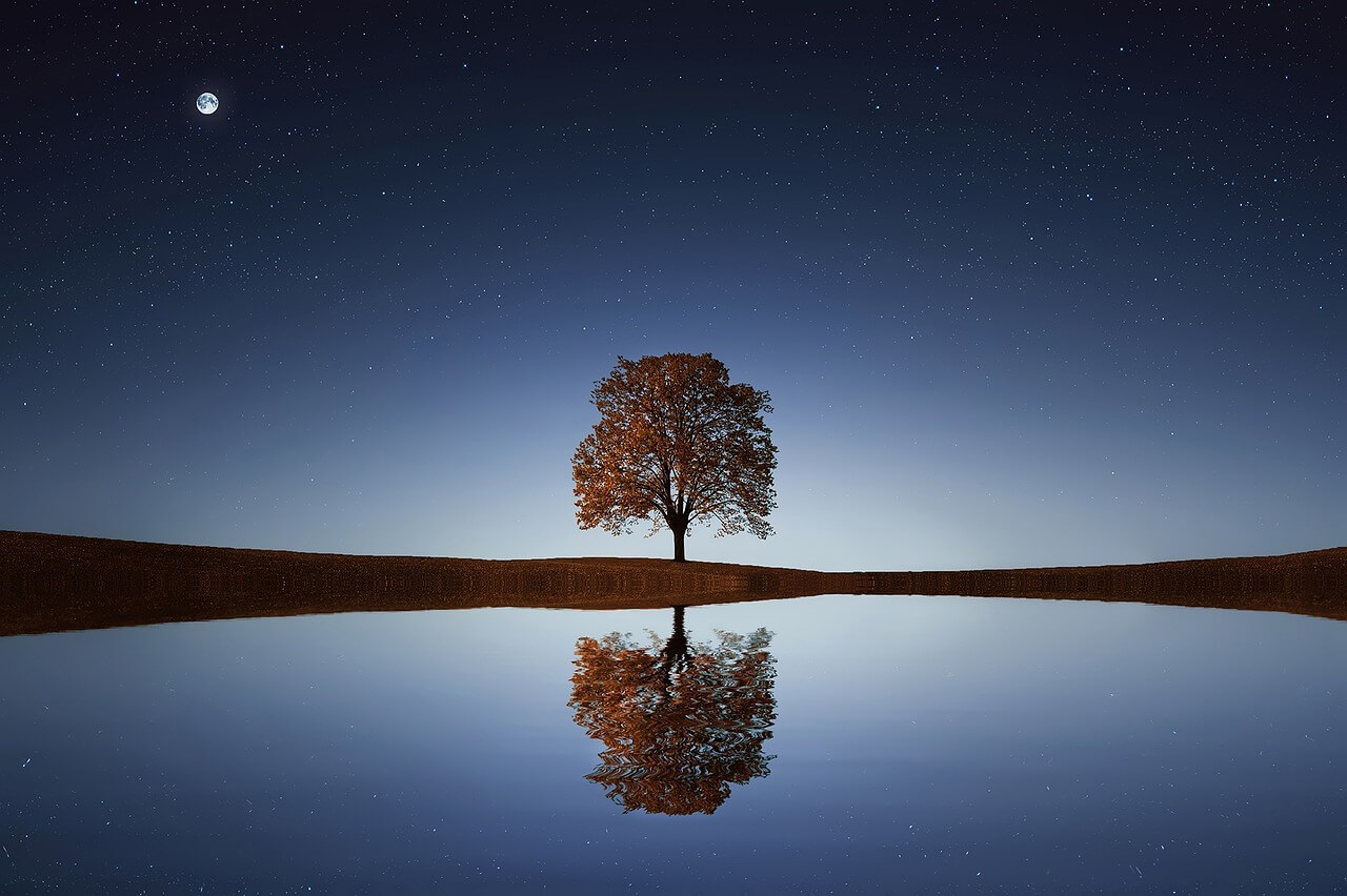 (Cuento indígena) Pania Pak’uru: el árbol del agua