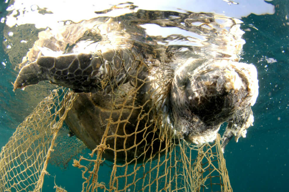 A partir de 2021 Europa abandonará los plásticos de un solo uso