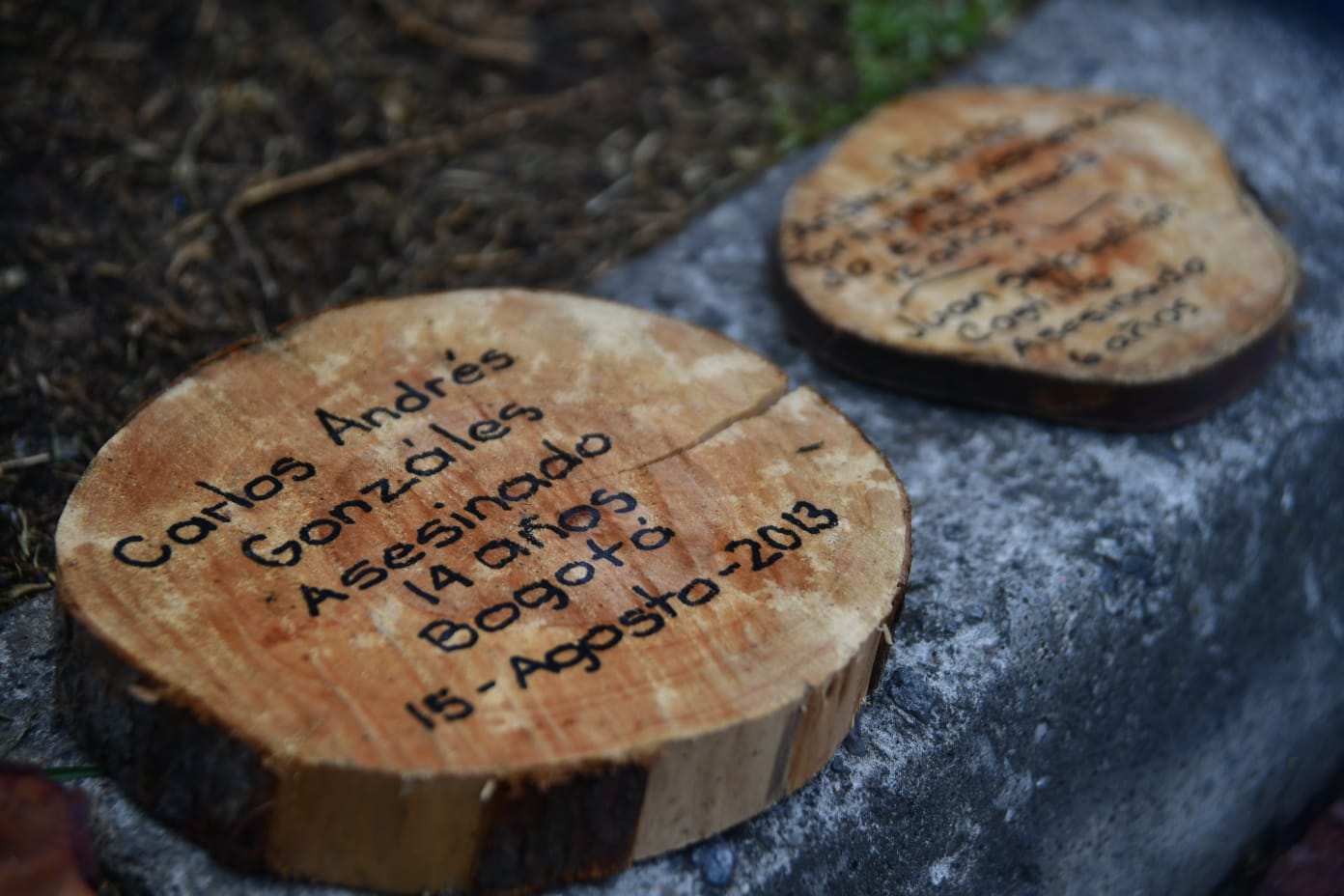 En el Jardín de la Siempreviva, en la carrera 1 con calle 19ª se realizó un homenaje a Sandra Catalina Vásquez, la niña de nueve años, que fue asesinada en una estación de Policía de Bogotá.