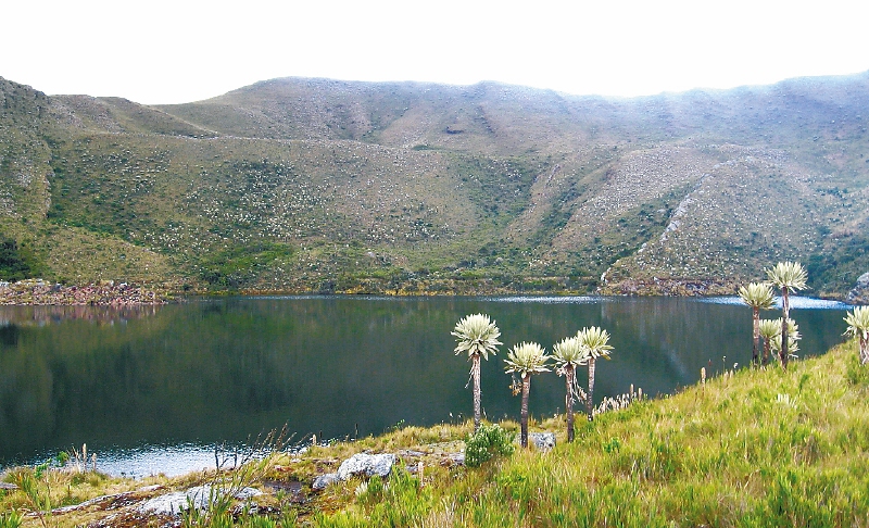 El páramo de Chingaza provee de agua a 7’396.524 personas.