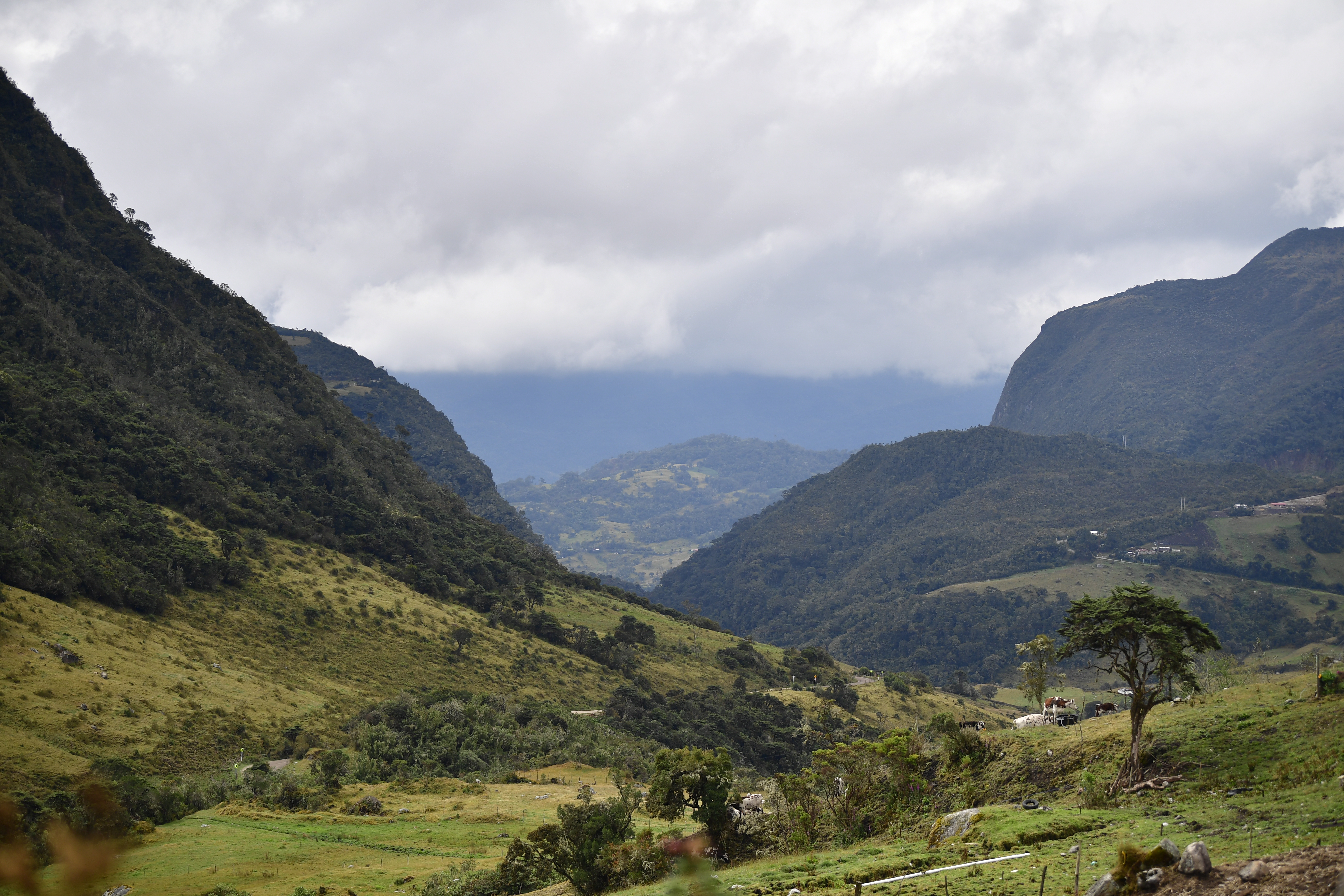 Cambios en la normativa para proteger producción campesina en Sumapaz y Cundinamarca