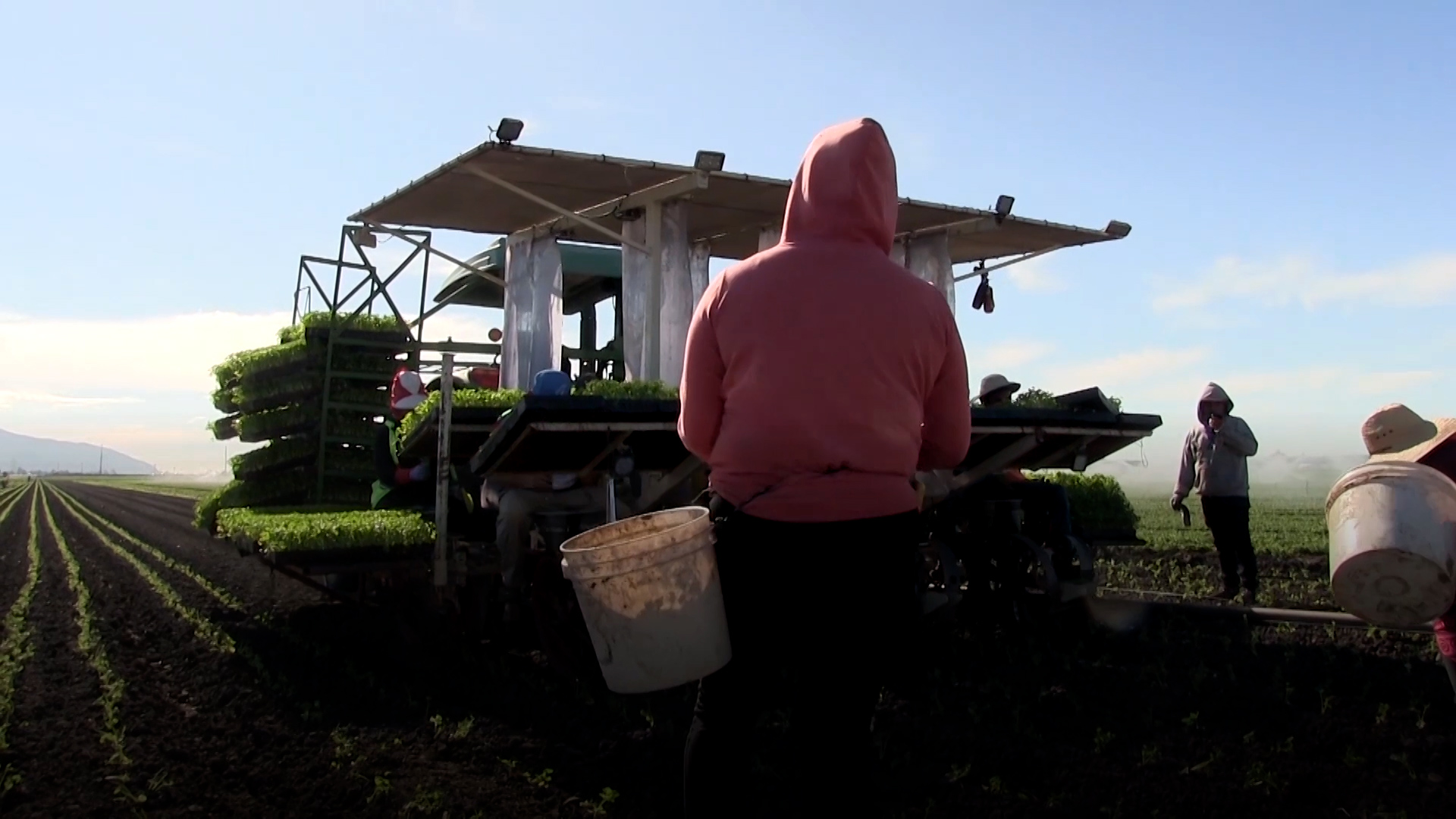 Acoso sexual: una realidad para las trabajadoras migrantes agrícolas en California