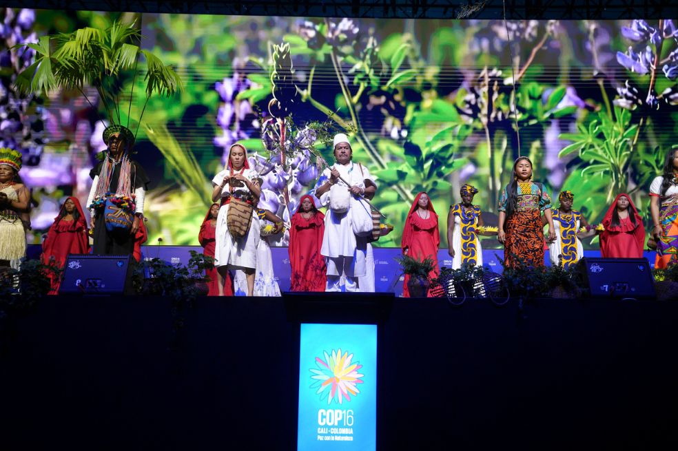 La ceremonia de inauguración, que se realizó este domingo, tuvo lugar en el salón “Amazonia". Allí también se llevarán las negociaciones y plenarias que buscan definir el rumbo de la biodiversidad en el planeta.