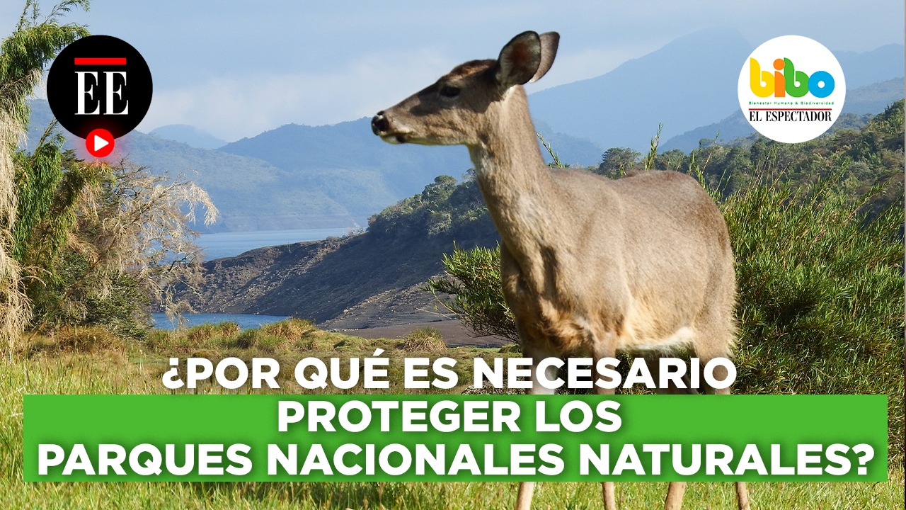 ¿Por qué es necesario proteger los Parques Nacionales Naturales?