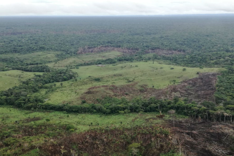 Se disparó la deforestación en La Macarena