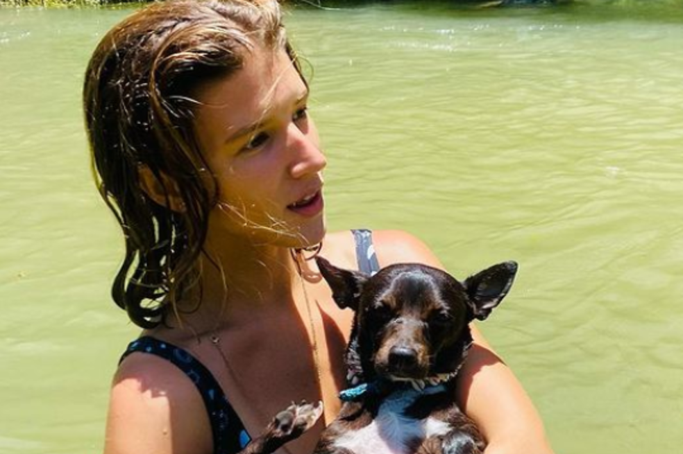Perrita perdida