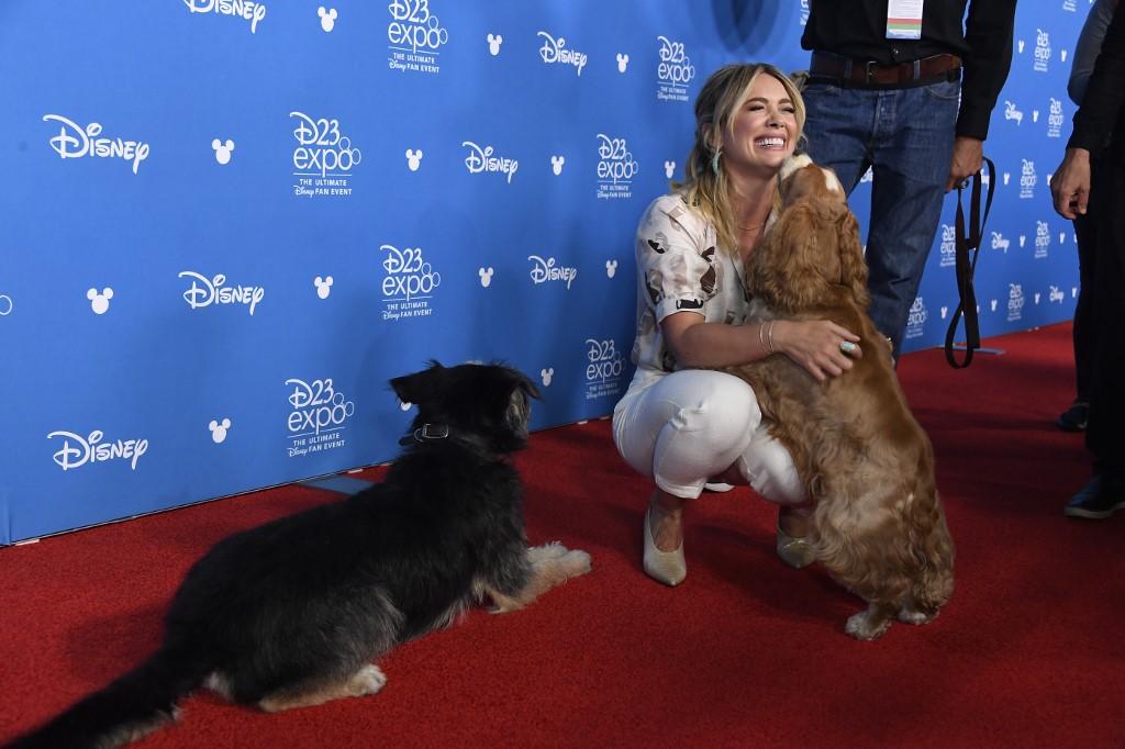 Hilary Duff, actriz que protagonizará nuevamente "Lizzie McGuire", junto a los perritos de "La dama y el vagabundo". Ambas producciones se estrenan en Disney+.AFP