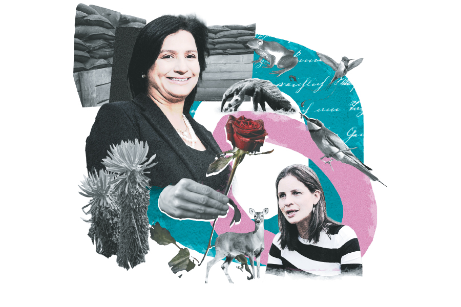 De Paola Holguín sobre Andrea Padilla