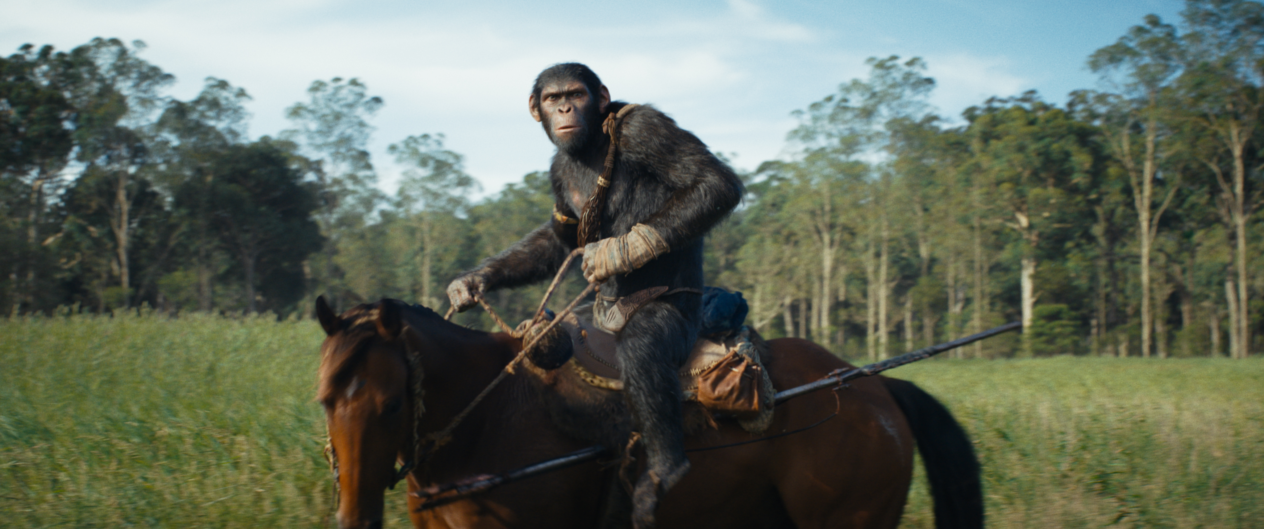 El Planeta de los Simios entrará al top de las películas más vistas en Colombia