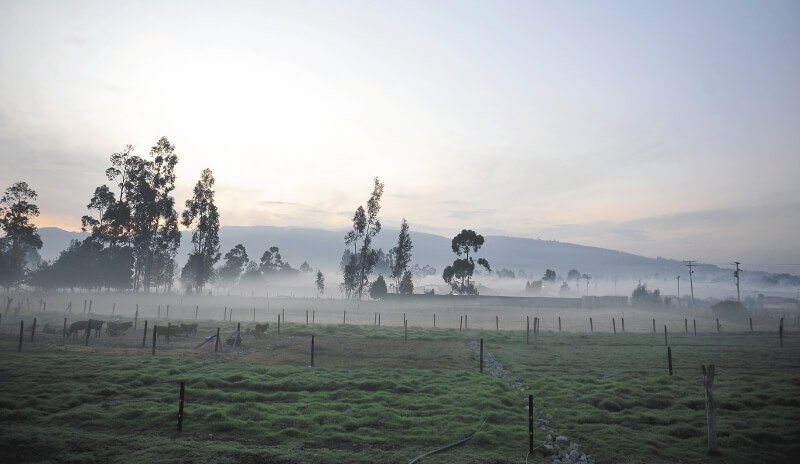 Así enfrentan las heladas los municipios más afectados de Cundinamarca