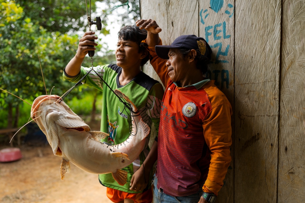 Con la ayuda de su hijo Estiven, Saul González, pescador del Resguardo Indígena El Itilla, Guaviare, pesa un bagre pintadillo para la toma de datos.