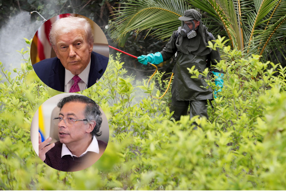 “Incautaciones históricas y control de la coca”: la respuesta de Petro tras amenaza de Trump