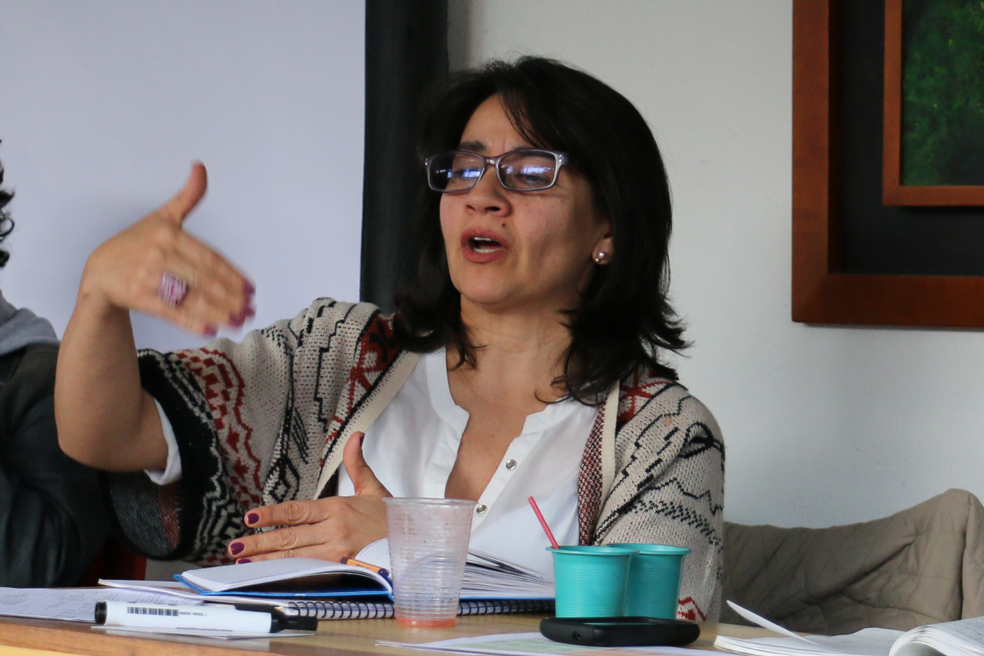 Diana Sánchez, directora de la Asociación Minga.