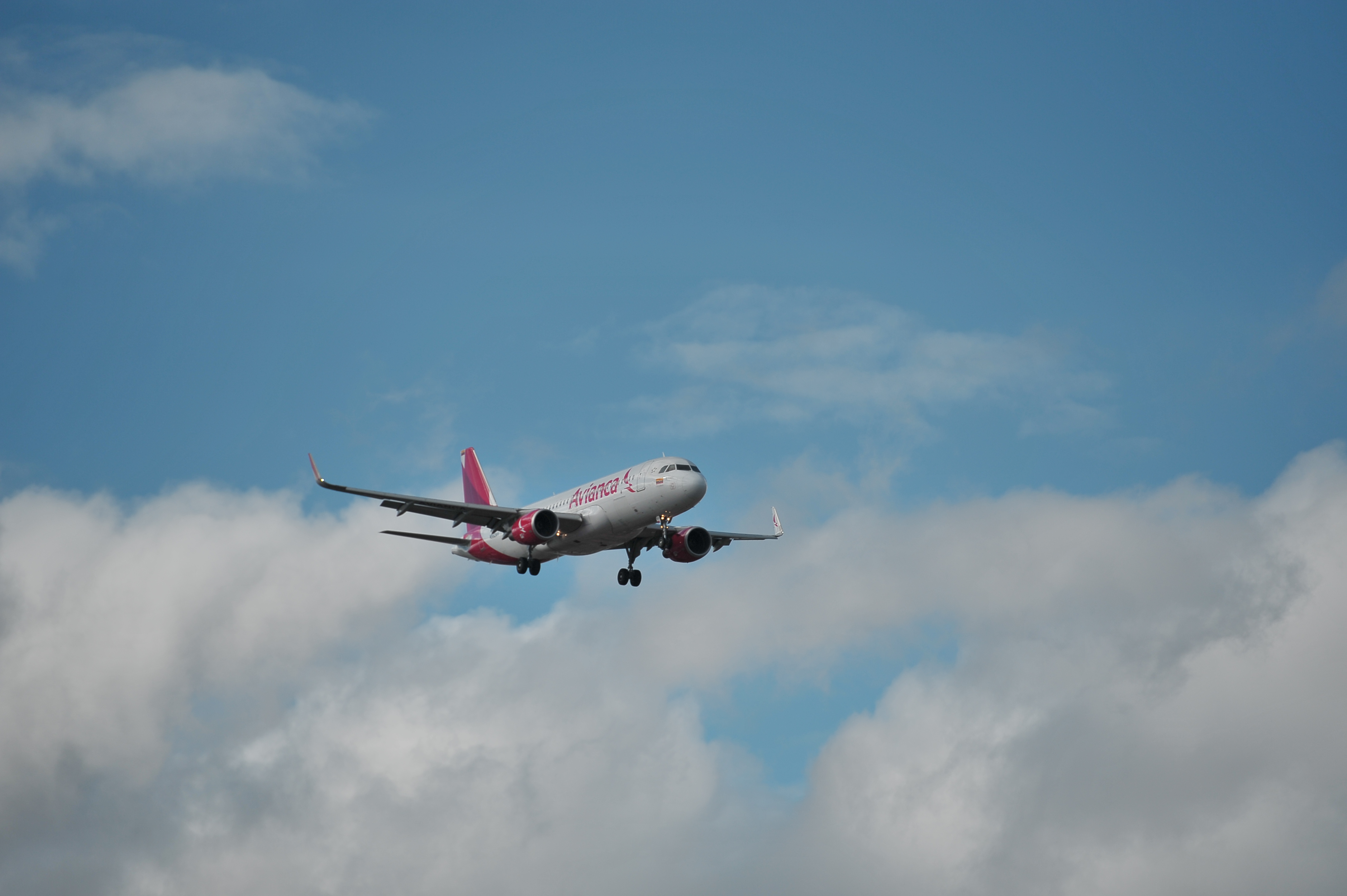 El transporte aéreo en Colombia movilizó a 49 millones de pasajeros durante 2023