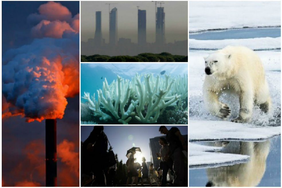 Los cinco síntomas cada vez más alarmantes del cambio climático