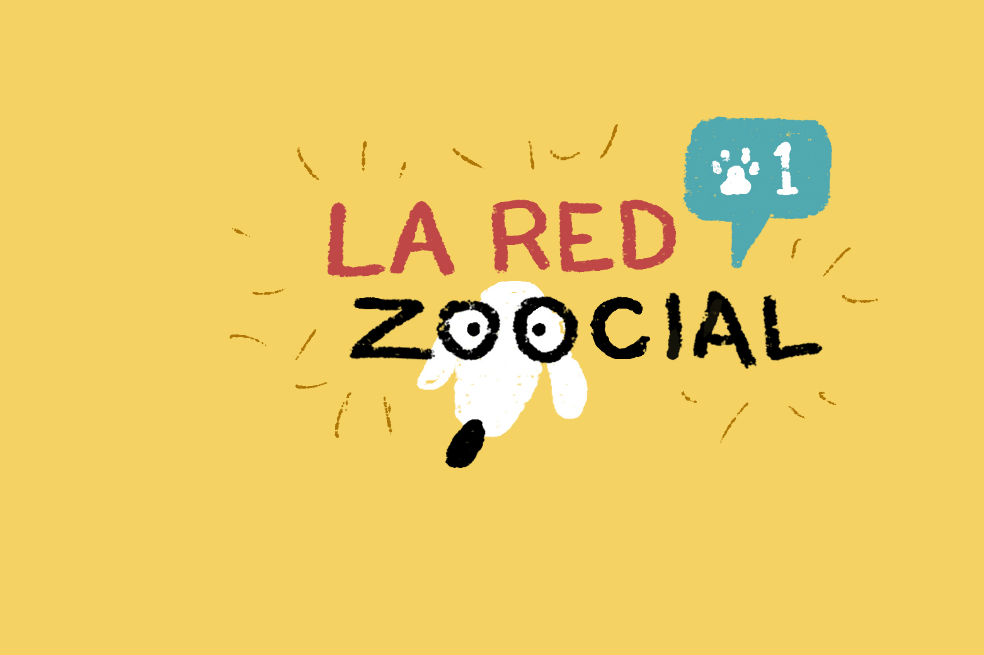 La Red Zoocial le regala boletas para Expopet