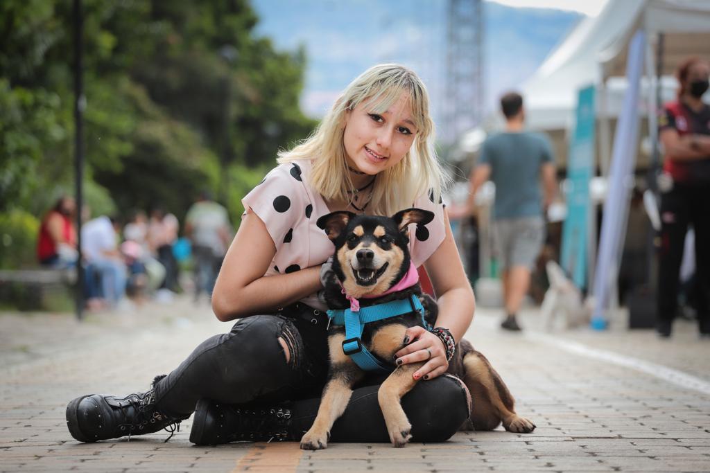 Adoptatón en Medellín: con esta iniciativa podrá acoger a animales abandonados