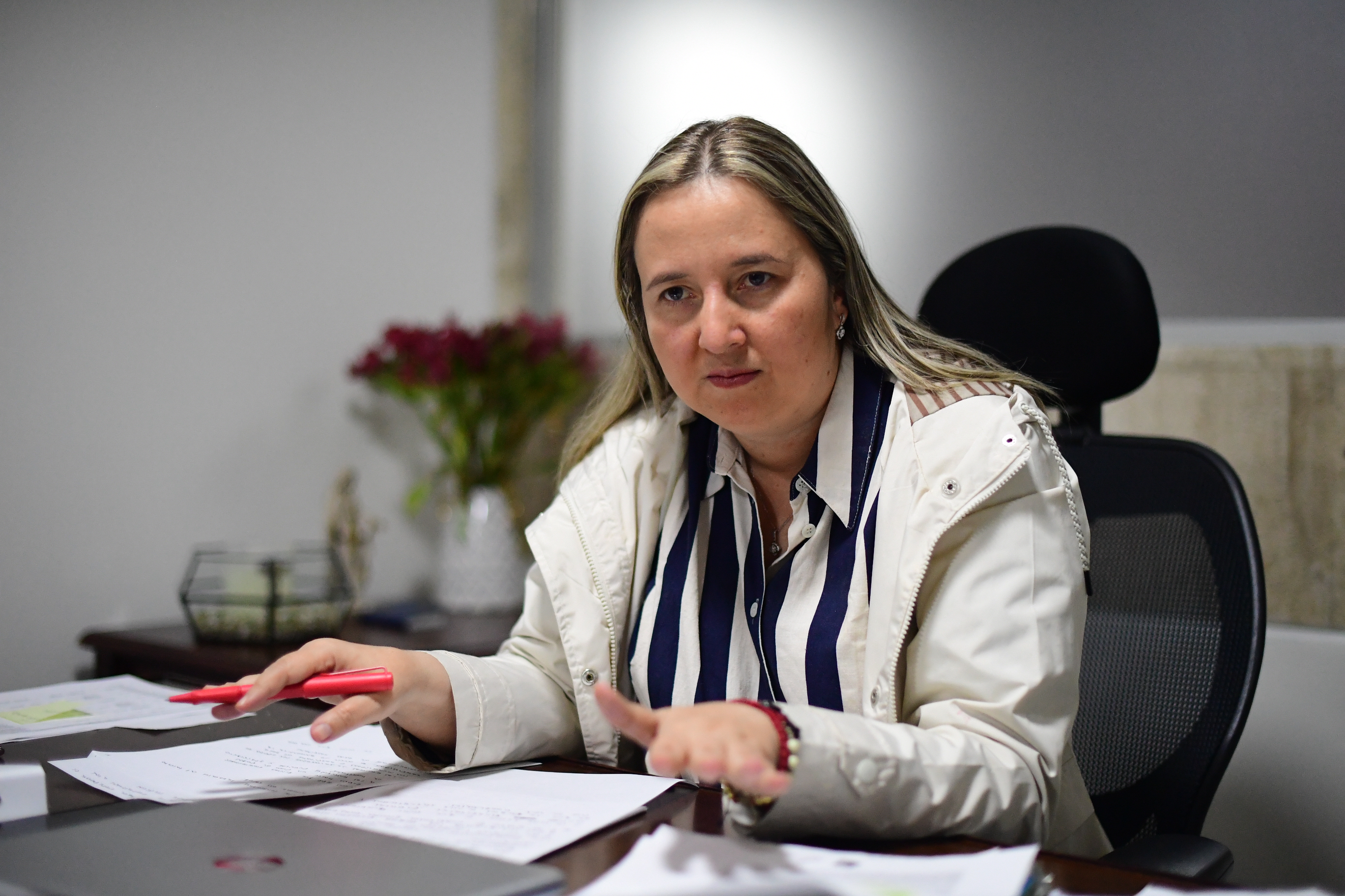 Representante a la Cámara