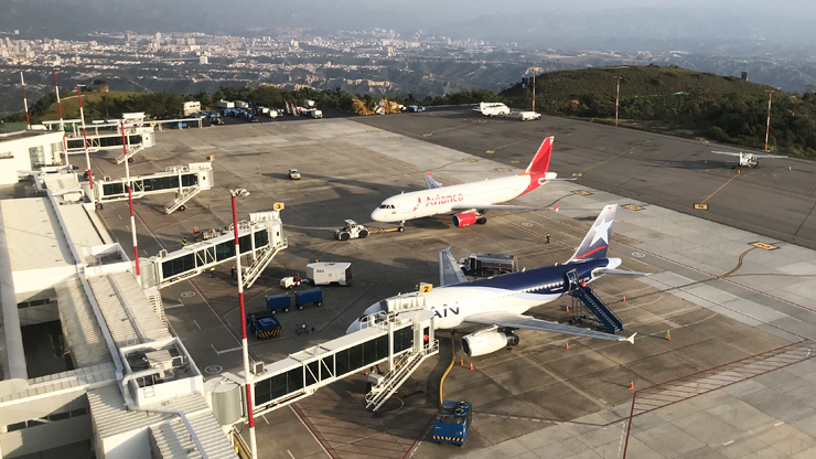 Mitigaron riesgo aéreo en aeropuerto de Bucaramanga tras reducción de gallinazos