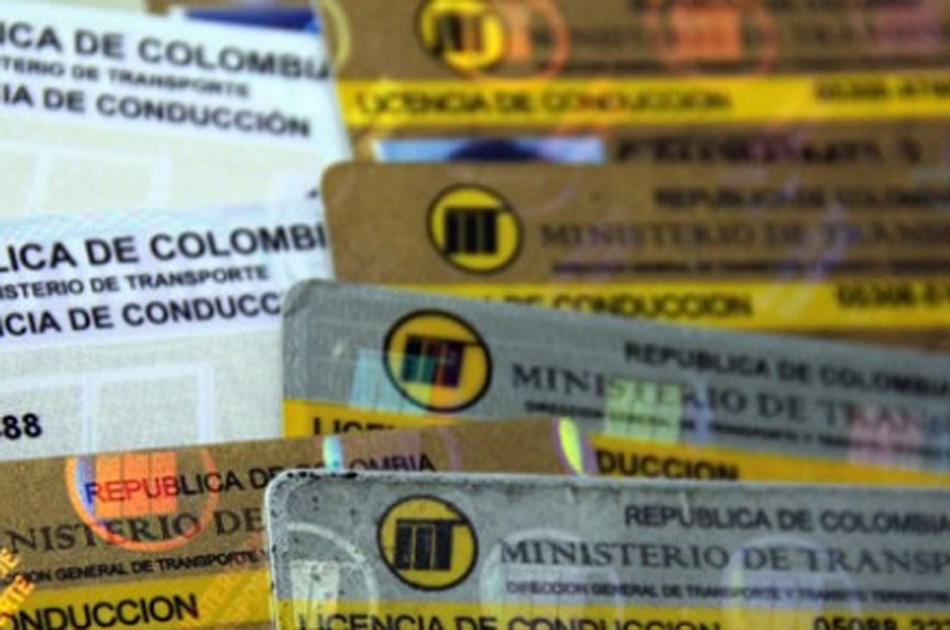Desmantelan red dedicada a expedir licencias de conducción falsas