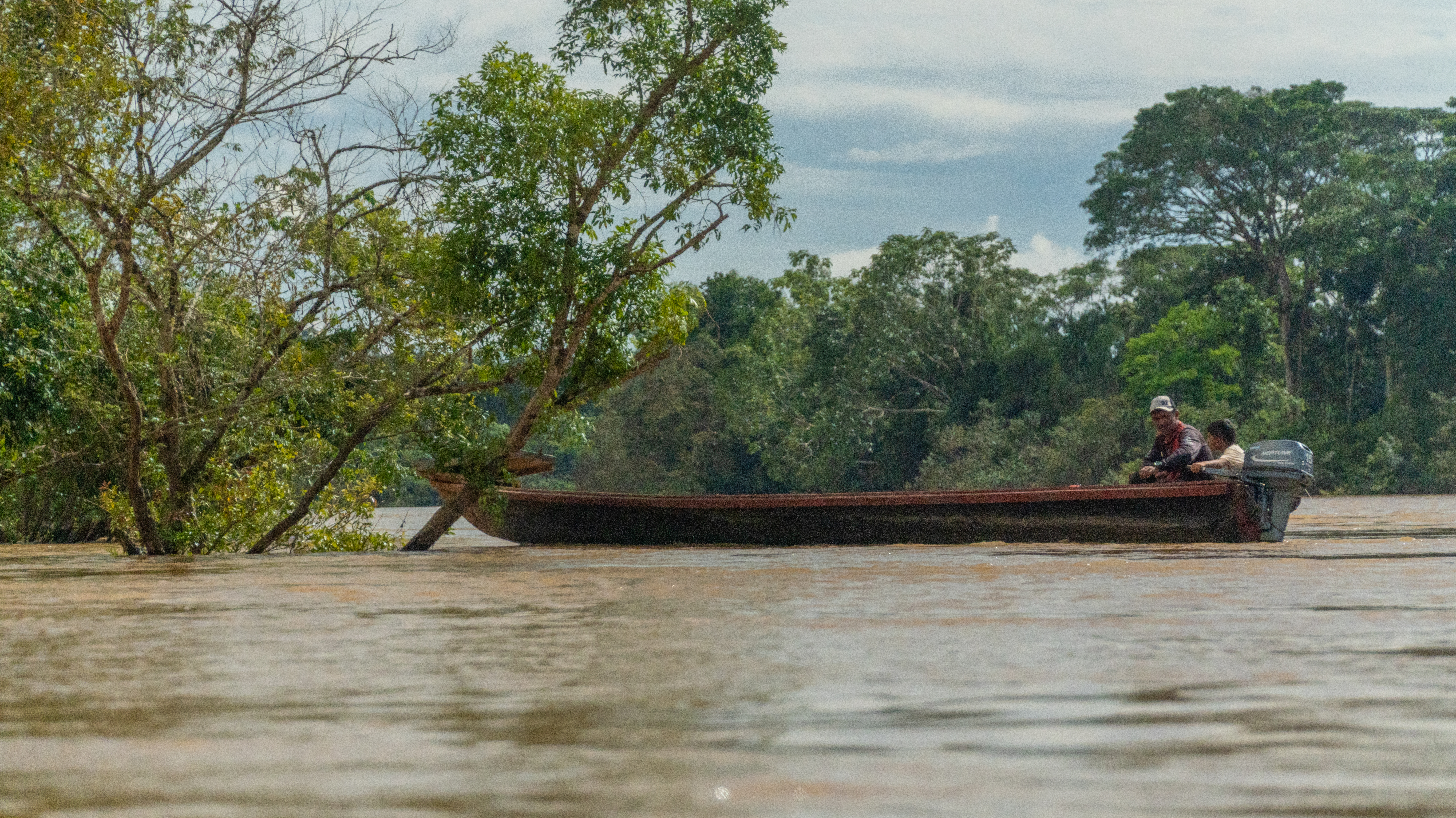 Esta forma de vida basada en el cuidado mutuo y con la tierra, muestra que es mucho más que recursos por explotar, sino que la humanidad hace parte de un organismo al que hay que escuchar, entender y defender.