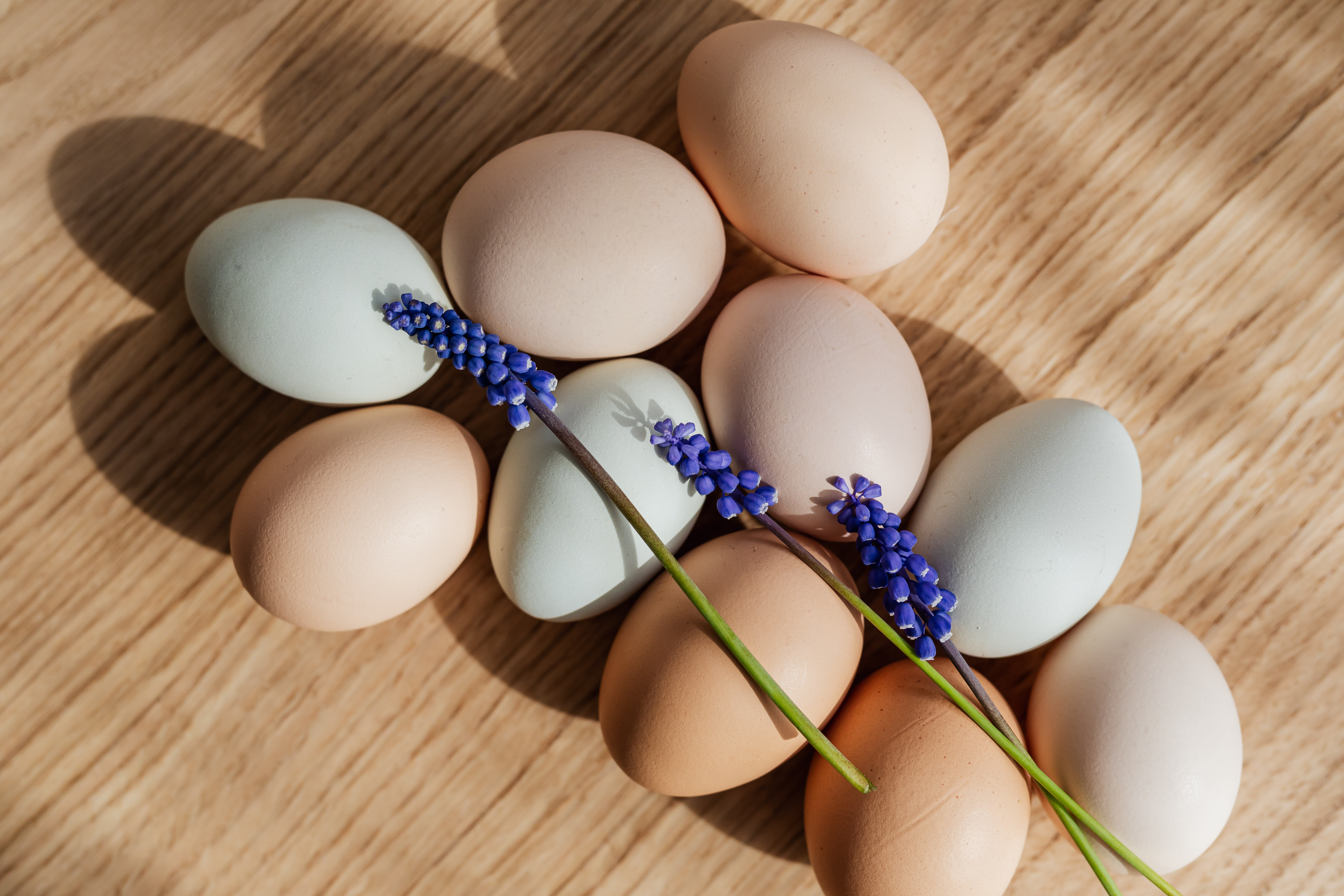 ¿Cuáles son los beneficios de comer huevo?