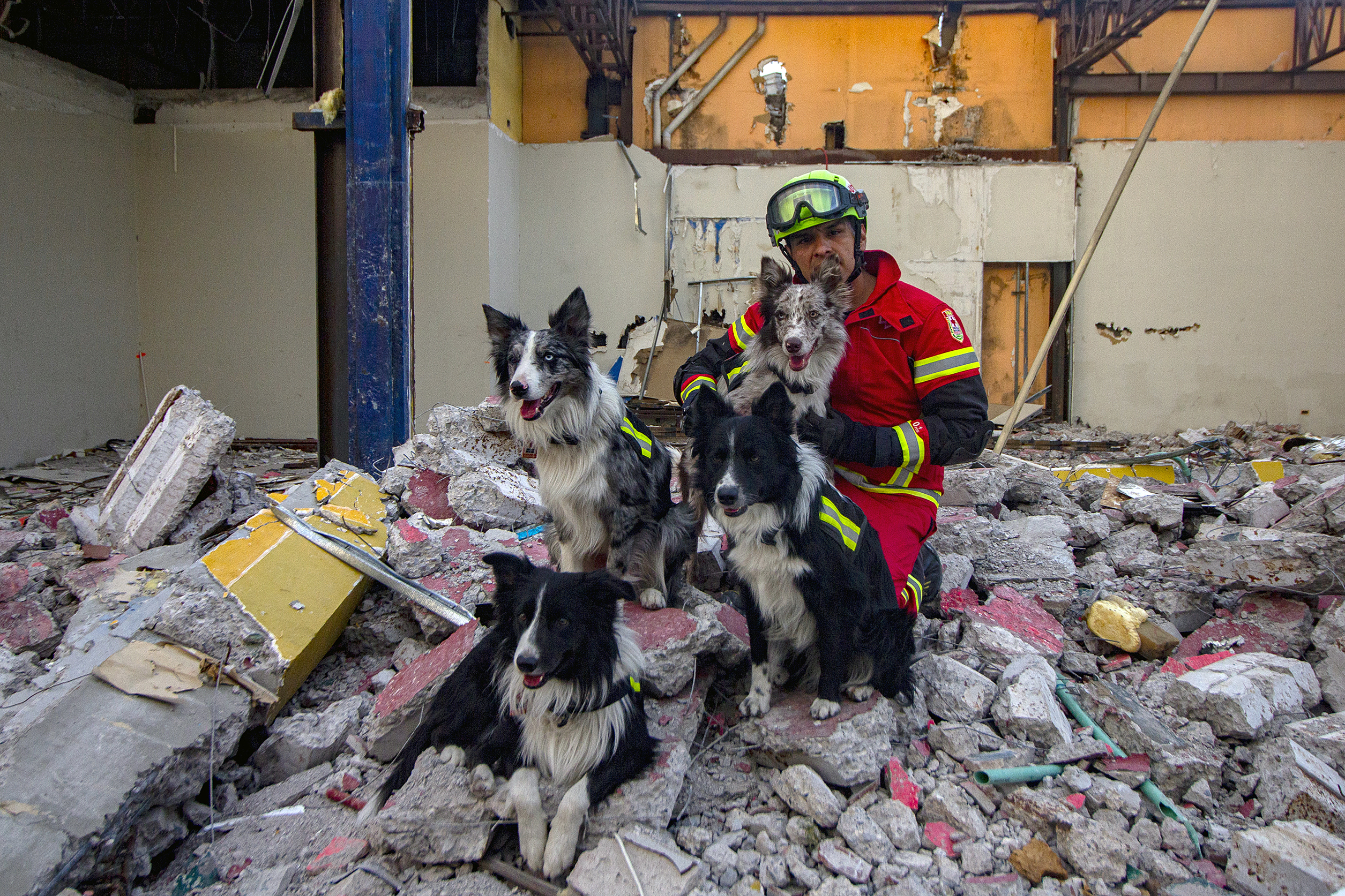 MEX5715. QUERÉTARO (MÉXICO), 22/05/2023.- El guía canino de la Cruz Roja Mexicana, Edgar Martínez, posa con los perros de rescate Balam, Orly, Rocky y Robinson durante un entrenamiento el 19 de mayo de 2023, en Querétaro (México). Entre los escombros de la ciudad de mexicana de Querétaro, resaltan las patas de Balam, Orly, Robinson y Rocky, cuatro perros de rescate que reciben entrenamiento de Edgar Martínez, guía canino de la Cruz Roja Mexicana, una tarea que adquiere popularidad en el país sacudido por los terremotos. EFE/ Sergio Adrián Ángeles