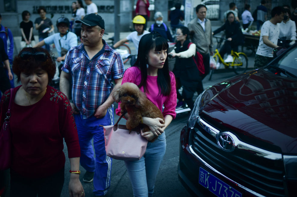 Las curiosas (¿extremas?) formas como China intenta disminuir muertes de peatones