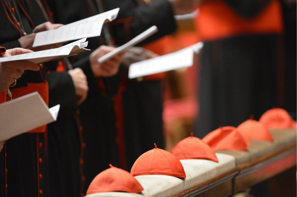 Los cardenales piden más información