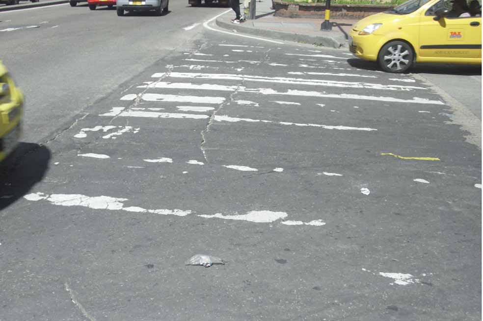 Cebras, en cuidados intensivos