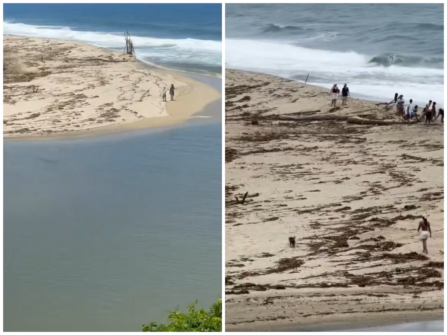 Polémica por turistas que entraron a playa prohibida y con caimanes en el Tayrona