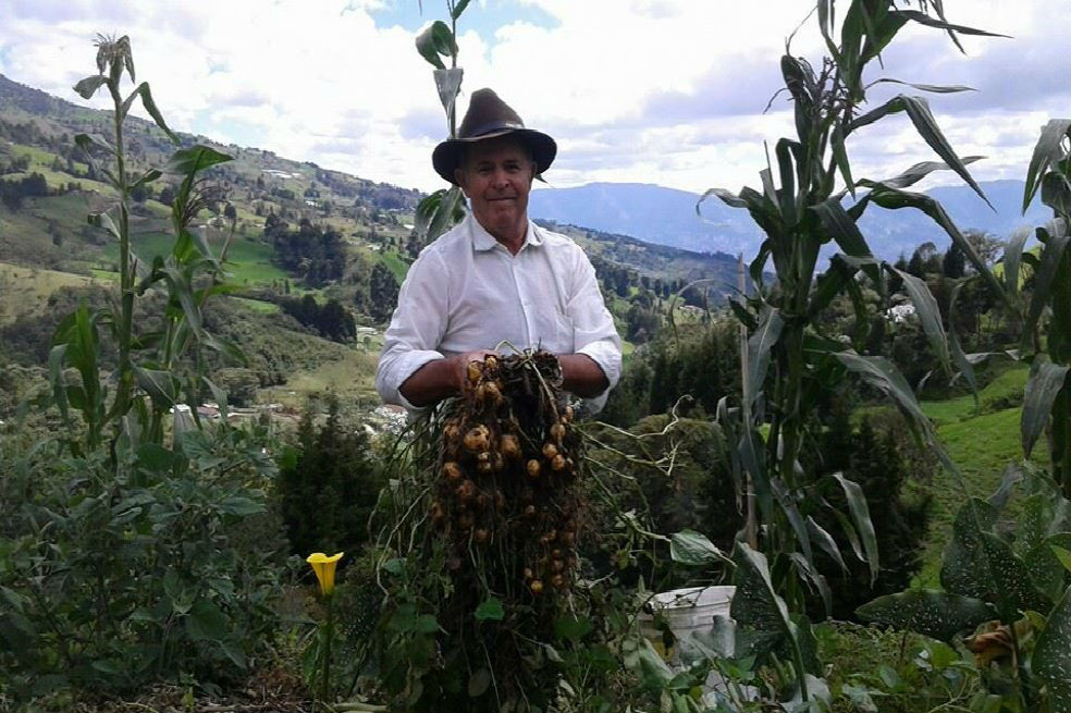Cultivadores regalan productos para concientizar sobre el papel del campo en la ciudad