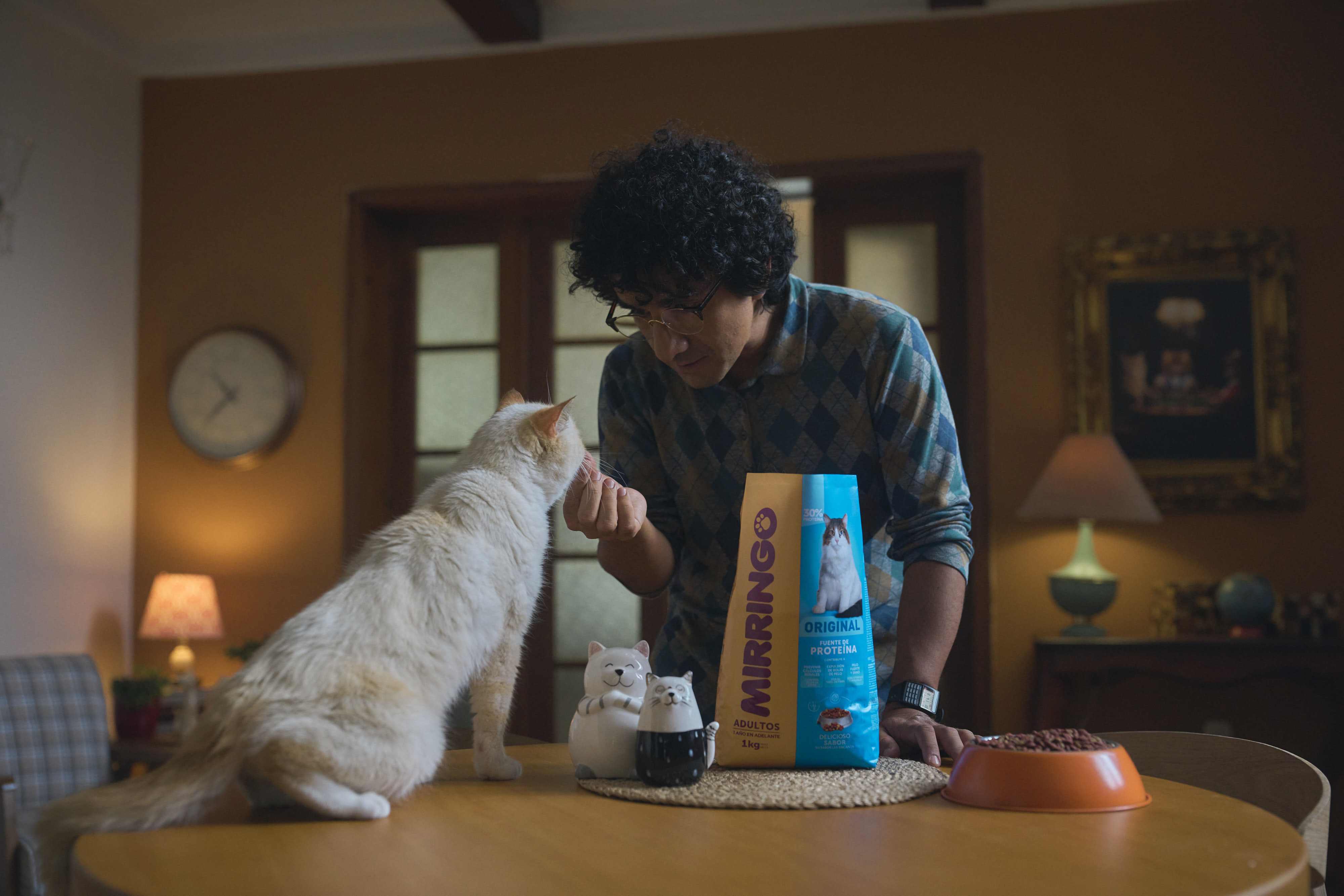 ¿Cómo alimentar correctamente a su gato?