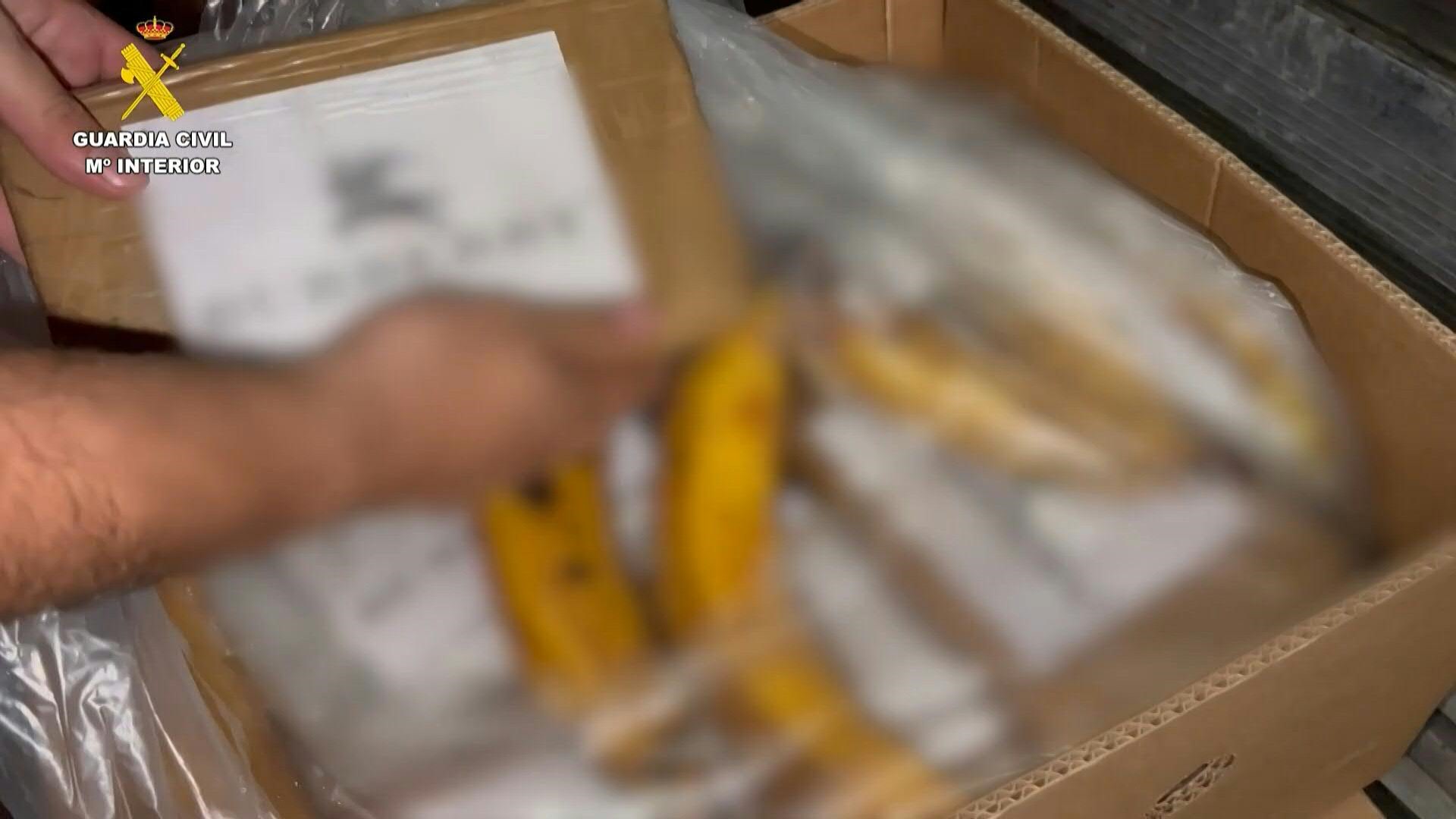 Cocaína oculta entre bananos: Colombia y España decomisaron 6,5 toneladas de droga