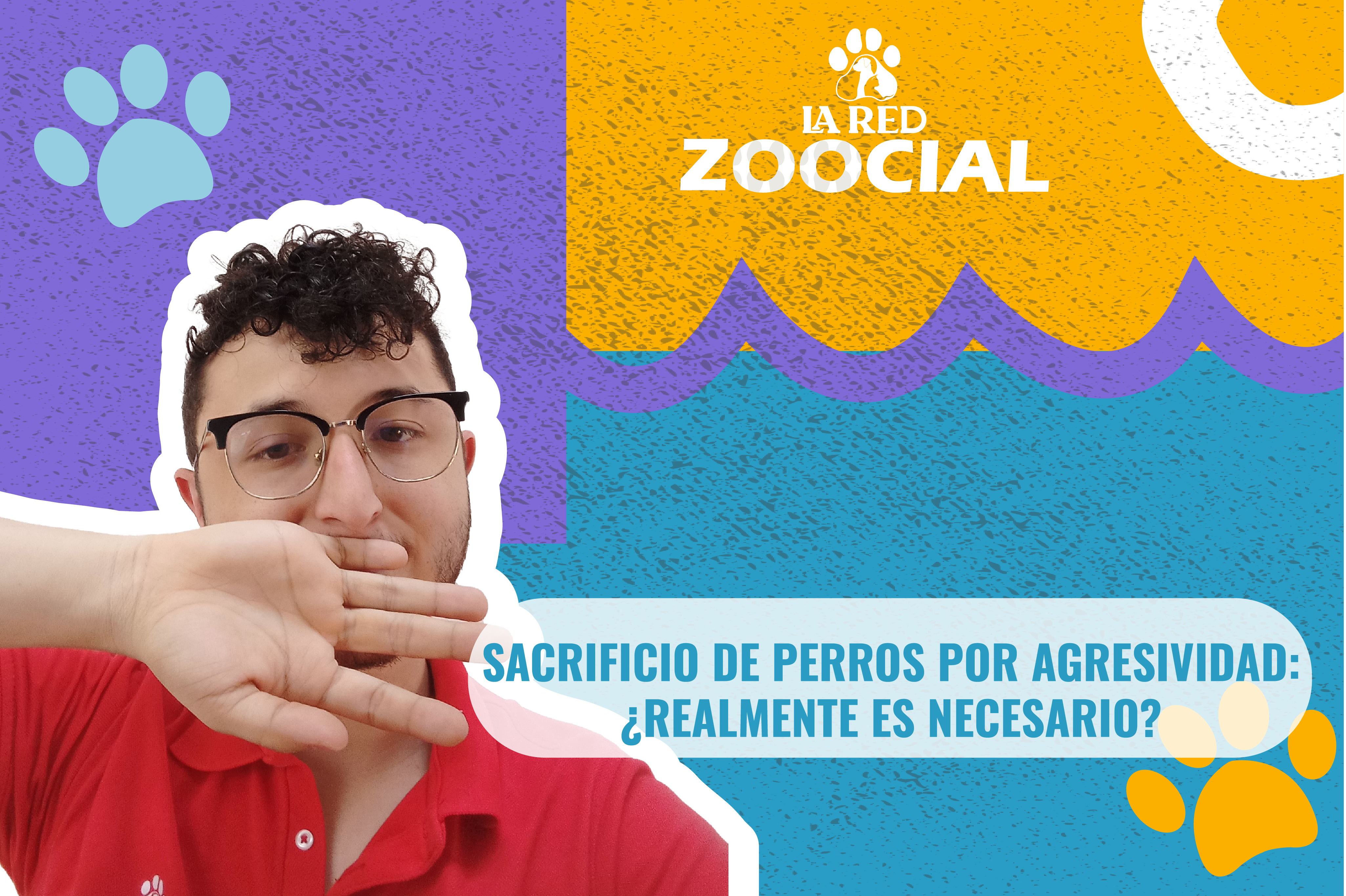 (Video) Sacrificio de perros por agresividad: ¿realmente es necesario?