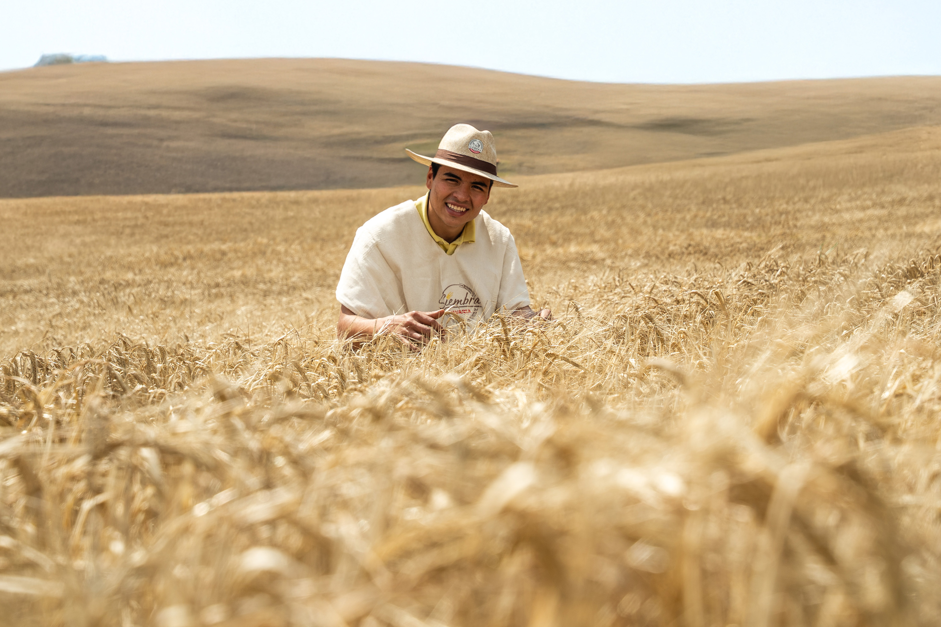 Siembra Bavaria Colombia cebada cultivadores 2025