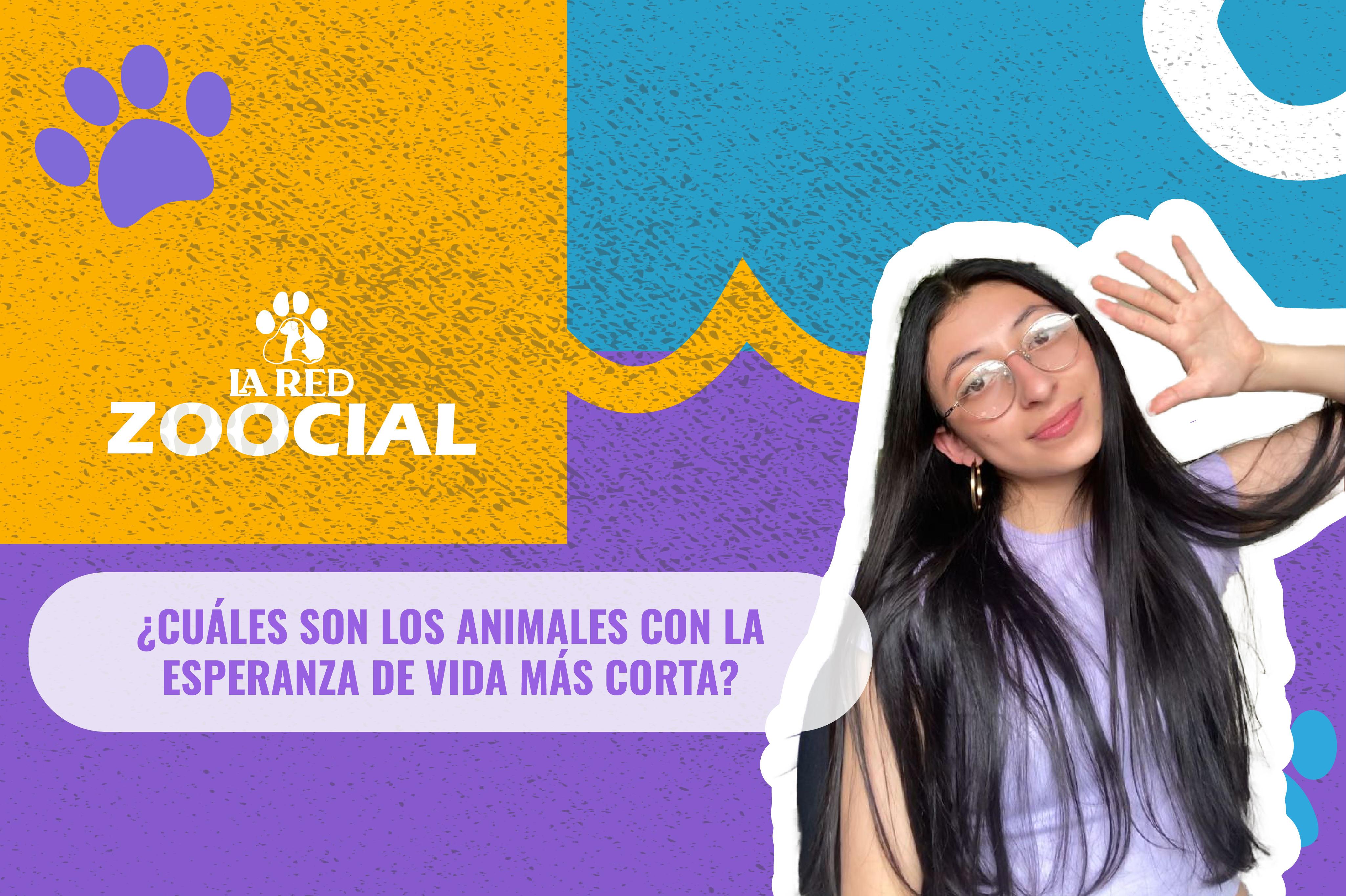 (Video) ¿Cuáles son los animales que viven menos tiempo?