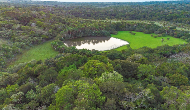La apuesta de campesinos de las sabanas del Yarí por conservar la Amazonia