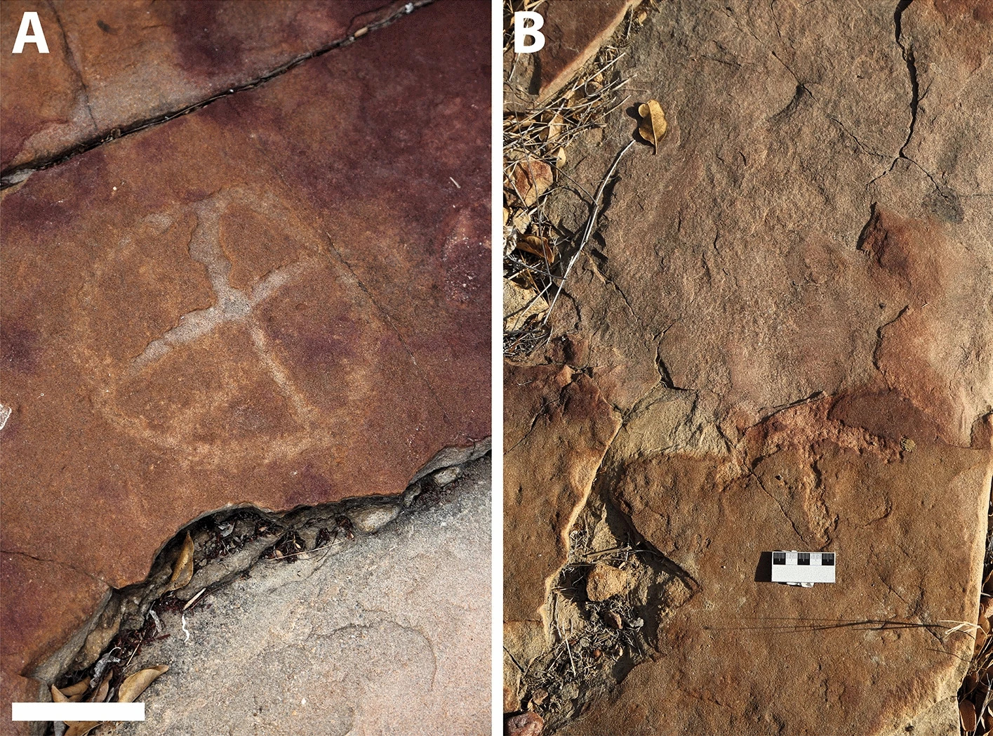 Encuentran arte rupestre de hace 9.400 años en medio de huellas de dinosaurios