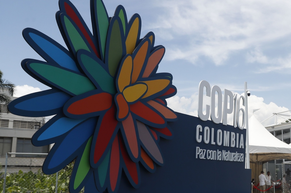 COP16: Ocho gobiernos anuncian US $163 millones al fondo mundial de biodiversidad