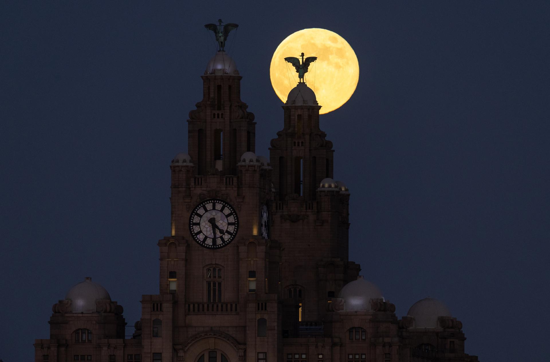 FOTODELDÍA - LIVERPOOL (Reino Unido), 03/01/2026.- La Luna del Lobo, que también es la primera Superluna del año, se eleva sobre el Royal Liver Building en Liverpool, Gran Bretaña, el 3 de enero de 2026. Según la NASA, una superluna ocurre cuando la Luna, debido a su proximidad a la Tierra, parece hasta un 15 por ciento más grande y un 30 por ciento más brillante que una luna llena normal. EFE/ADAM VAUGHAN
