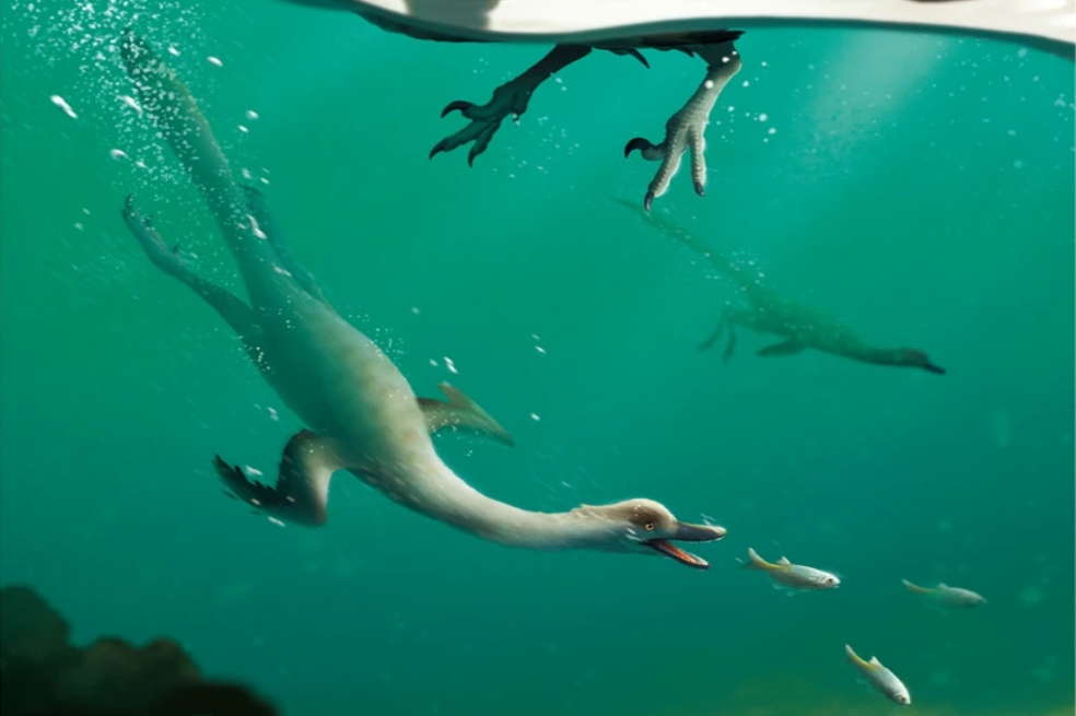 En Mongolia descubren el que pudo ser el primer dinosaurio que nadaba