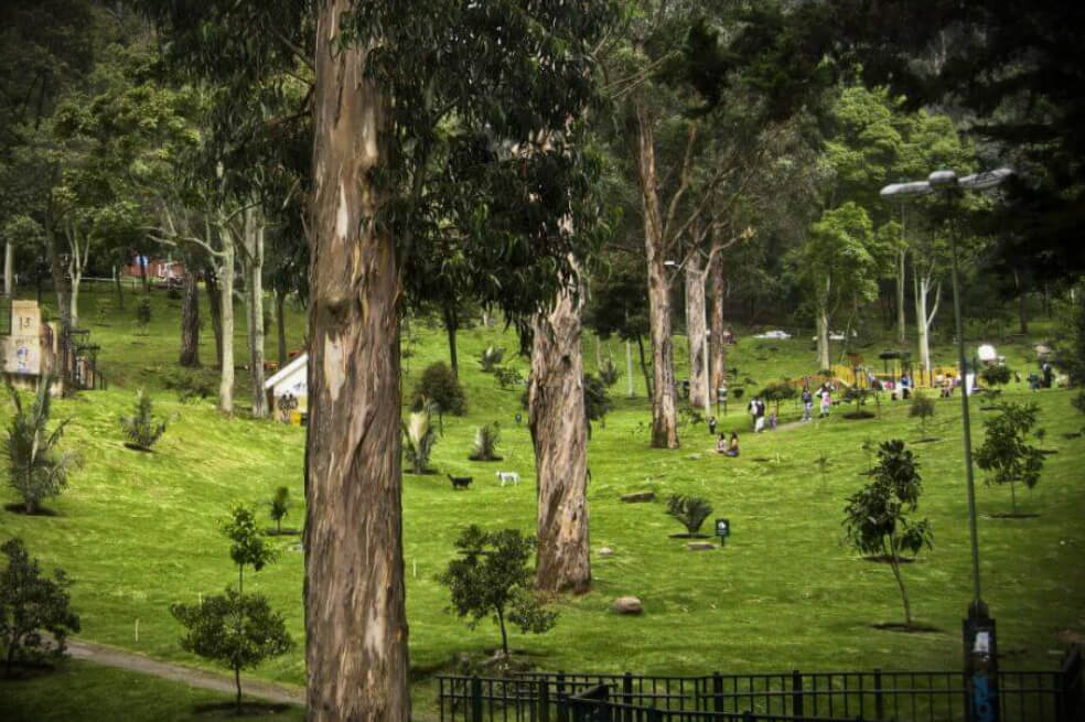 A la cárcel presunto violador que acechaba a sus víctimas en el Parque Nacional