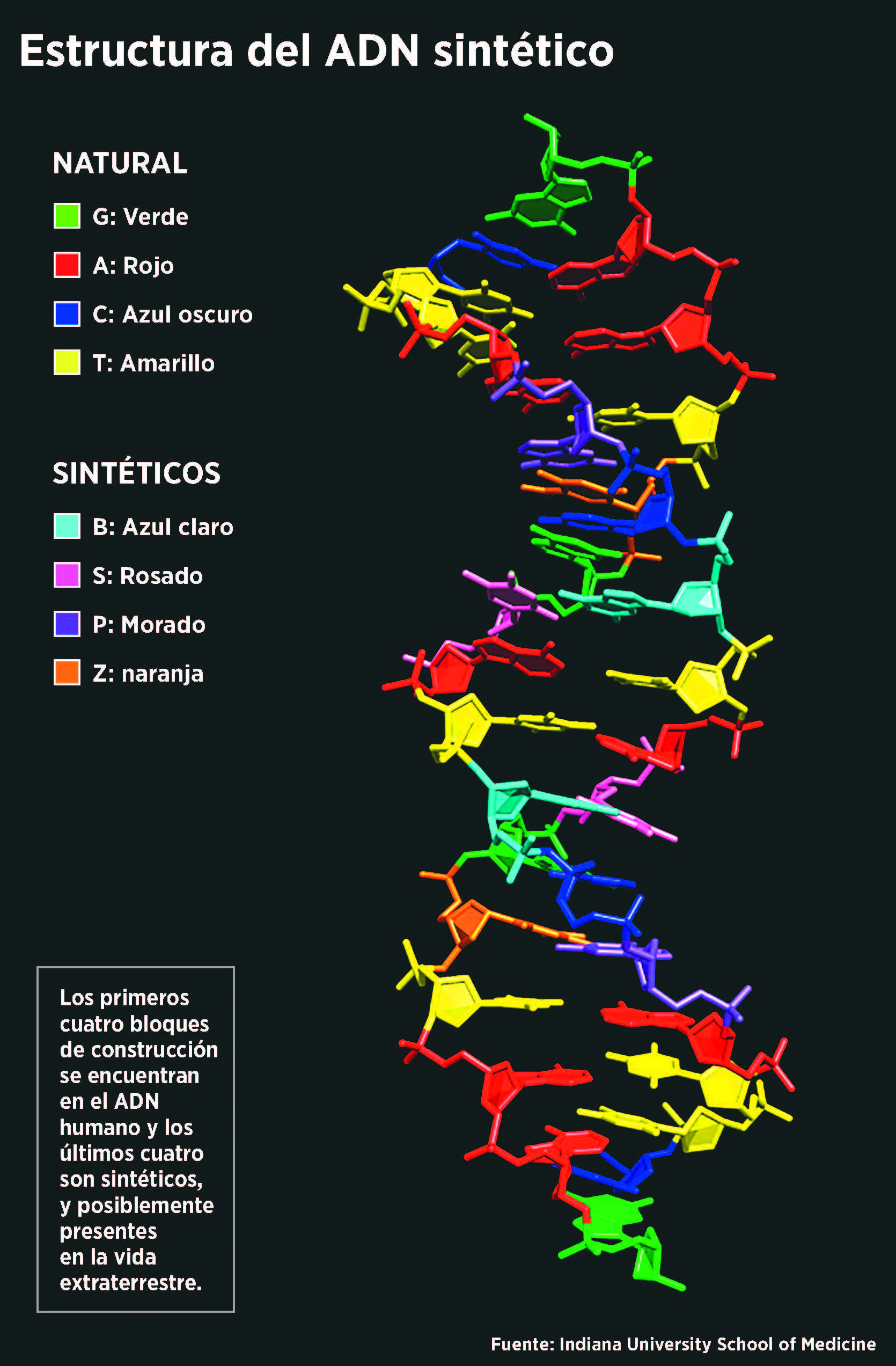 Treinta años persiguiendo el “súper ADN”
