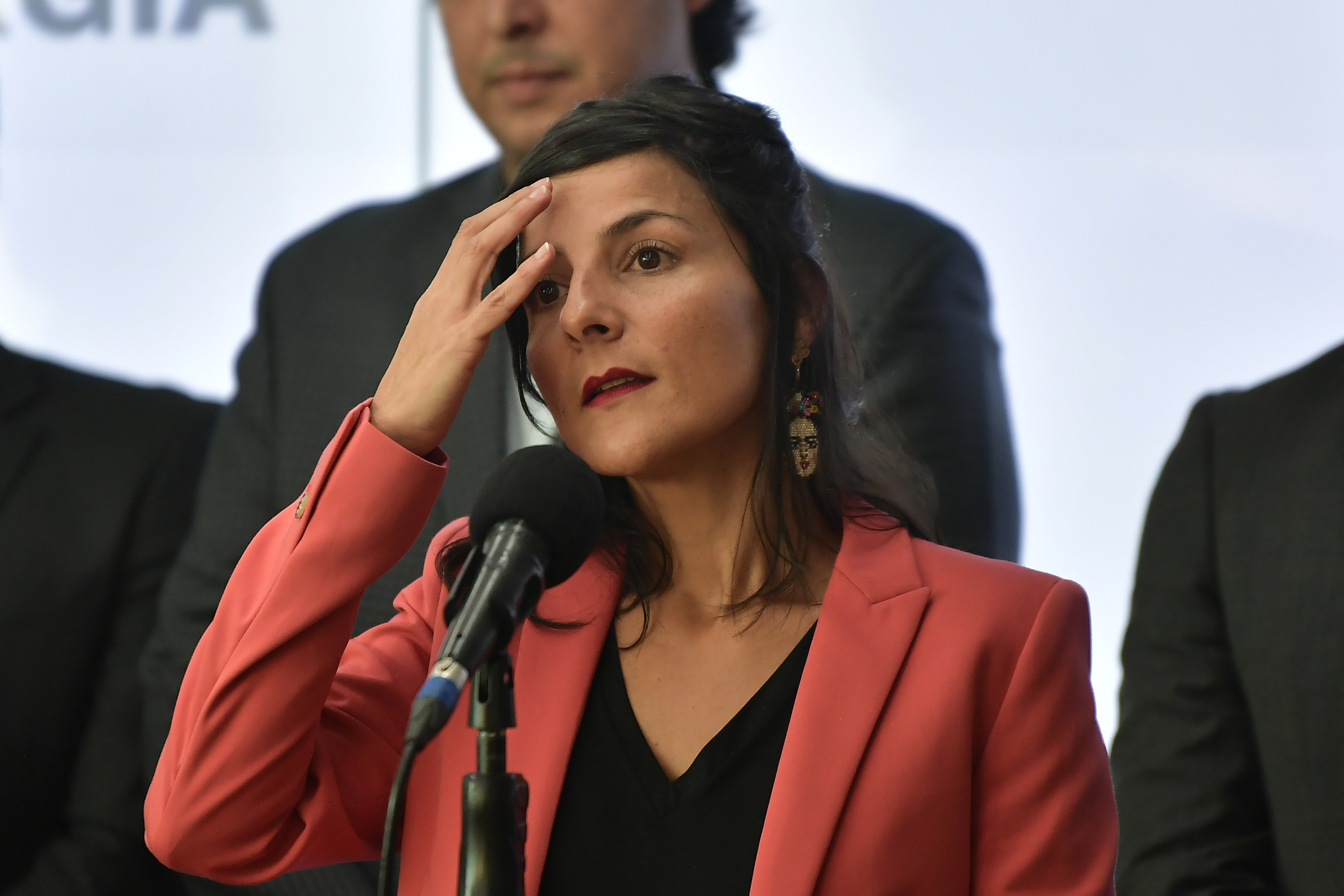 Abren incidente de desacato contra ministra (e) de Ambiente Irene Vélez por delimitación de Santurbán