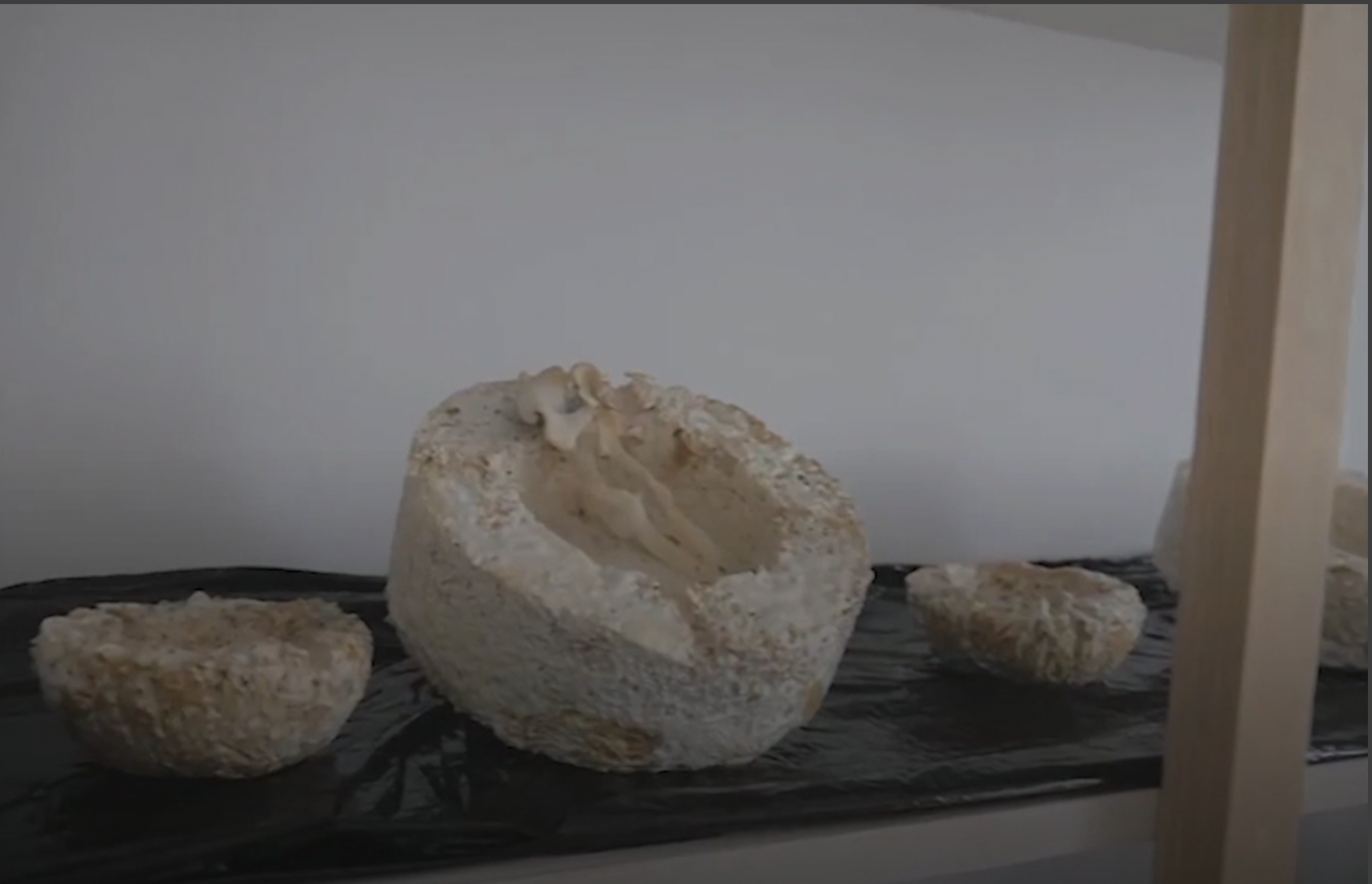 PuriFungi crea ceniceros hechos de hongos y colillas para ayudar el ambiente