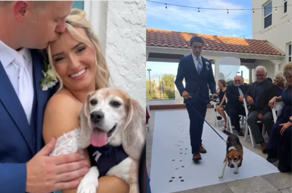 Una pareja hace un tierno homenaje a su perrito fallecido en medio de su boda