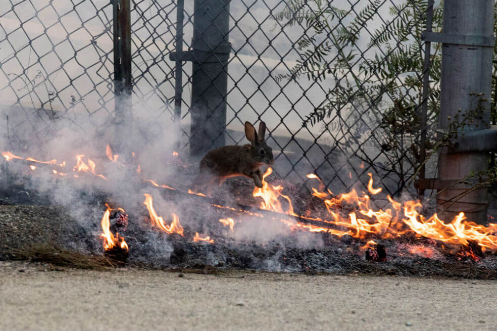 En fotos: California en alerta máxima por incendios
