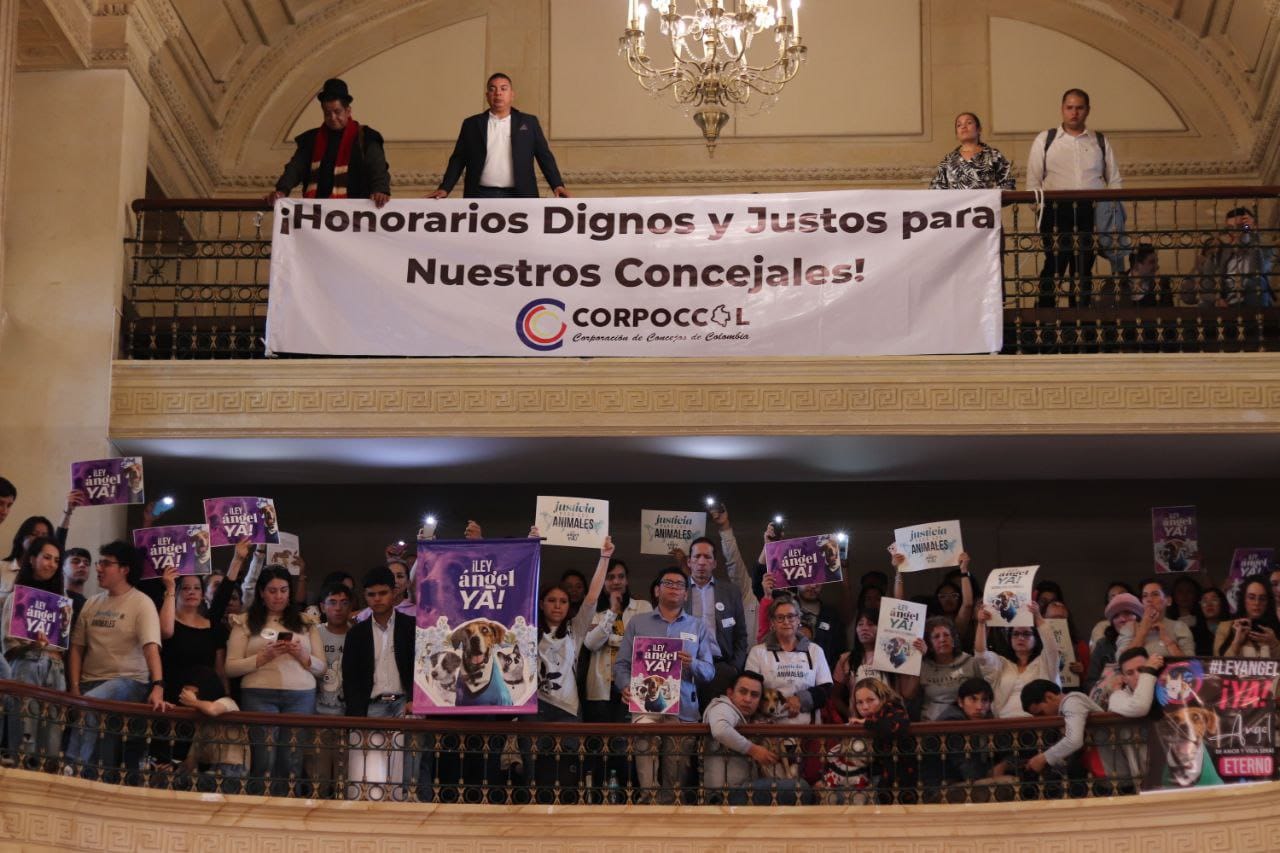 Desde el Congreso celebran aprobación de ley que aumenta honorarios a concejales